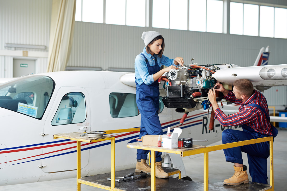 Tim Profesional Aviasi